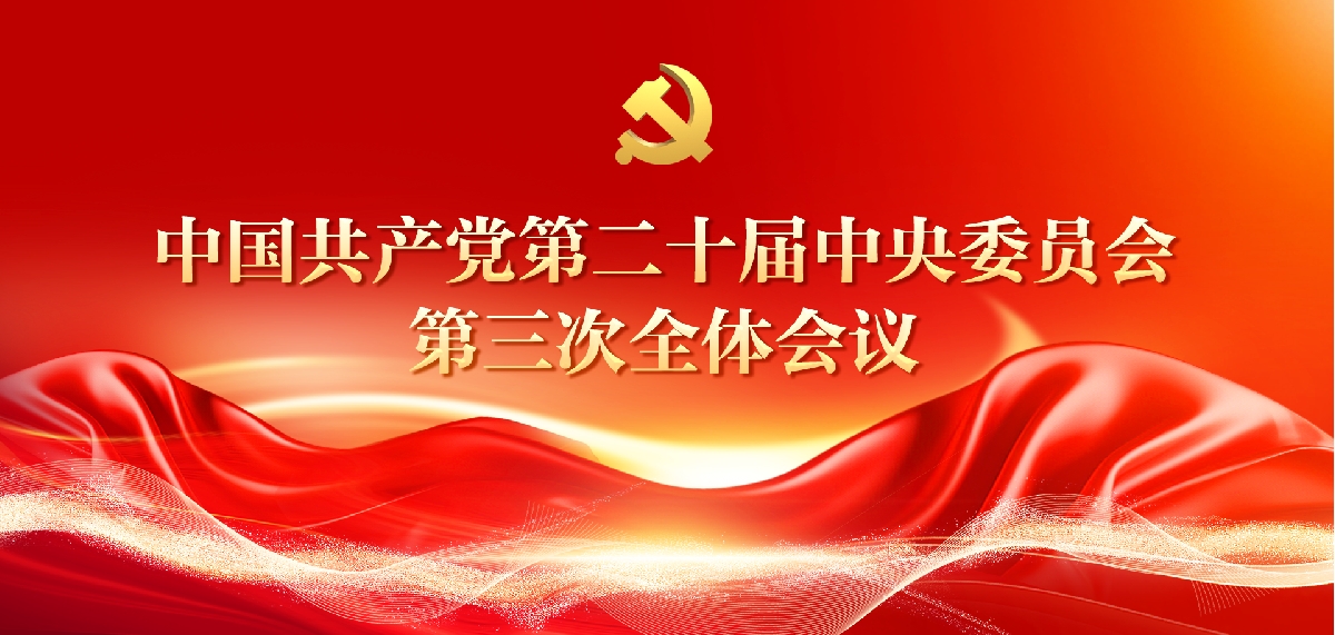 深入学习贯彻党的二十届三中全会精神专题